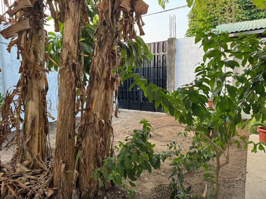 Вилла Casa Privada Con Terraza Пуэрто-Мальдонадо Экстерьер фото